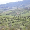 Tuscany107